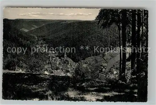 AK / Ansichtskarte Lauterbach Schwarzwald Blick von der Steinbank Kat. Lauterbach