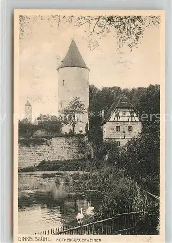 AK / Ansichtskarte Dinkelsbuehl Rothenburger Weiher Kat. Dinkelsbuehl