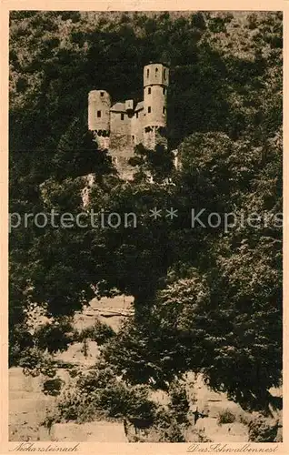 AK / Ansichtskarte Neckarsteinach Burg Schwalbennest Kat. Neckarsteinach