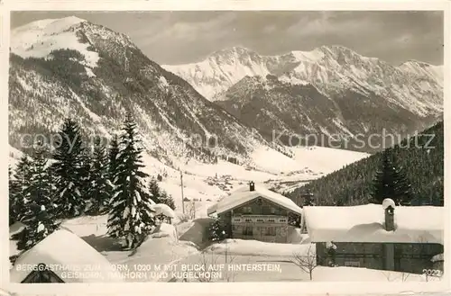 AK / Ansichtskarte Hindelang Berggasthaus zum Horn Hinterstein Winterlandschaft Kat. Bad Hindelang