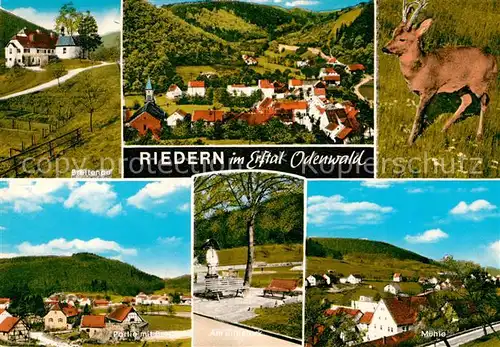 AK / Ansichtskarte Riedern Unterfranken Breitenau Muehle Panorama Am Bildstock Kat. Eichenbuehl