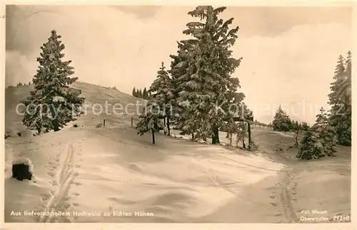 AK / Ansichtskarte Hindelang Hochwald Winterlandschaft Kat. Bad Hindelang