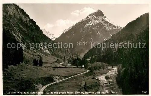 AK / Ansichtskarte Hindelang Giebelhaus Wilde Schneck Kat. Bad Hindelang