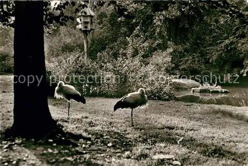 AK / Ansichtskarte Landau Pfalz St?dtischer Tiergarten Kat. Landau in der Pfalz