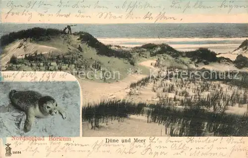 AK / Ansichtskarte Borkum Nordseebad D?ne und Meer Kat. Borkum