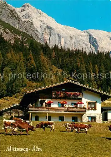 AK / Ansichtskarte Muehlbach Hochkoenig Rasthuette Mitteregg Alm Kat. Muehlbach am Hochkoenig