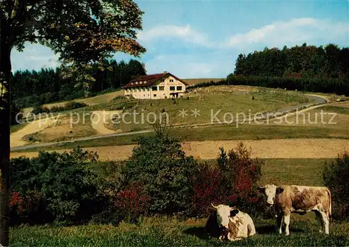 AK / Ansichtskarte Waldmichelbach Sonnen Cafe Kreidacher Hoehe Kat. Wald Michelbach