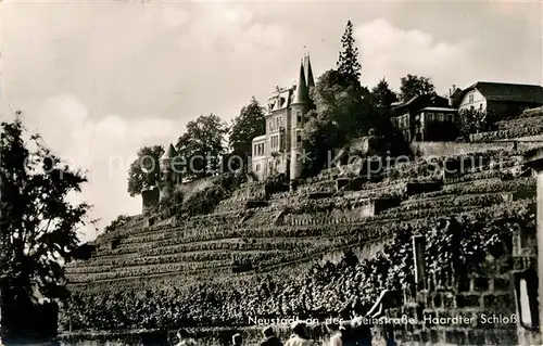 AK / Ansichtskarte Neustadt Weinstrasse Haardter Schloss Kat. Neustadt an der Weinstr.