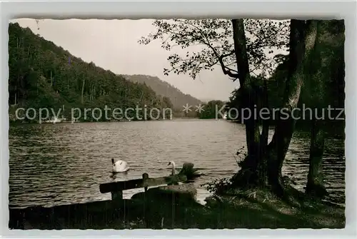 AK / Ansichtskarte Erlenbach Bad Bergzabern Partie am See Kat. Bad Bergzabern