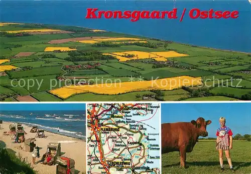 AK / Ansichtskarte Kronsgaard Strand Kuh Fliegeraufnahme Kat. Kronsgaard