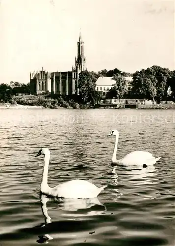 AK / Ansichtskarte Malchow Klosterkirche Schwaene Kat. Malchow Mecklenburg