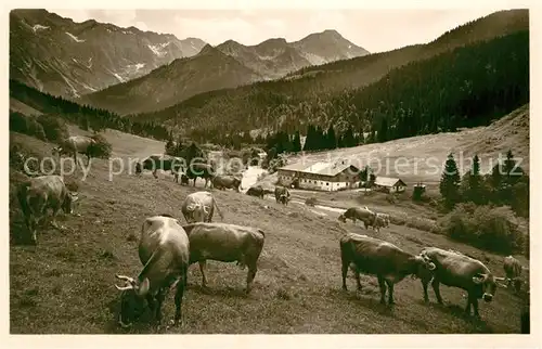 AK / Ansichtskarte Hindelang Mitterhaus Kat. Bad Hindelang