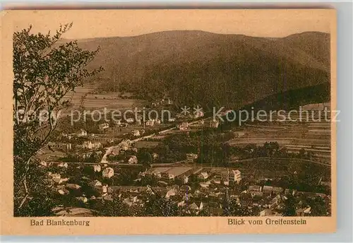 AK / Ansichtskarte Bad Blankenburg Blick vom Greifenstein Kat. Bad Blankenburg