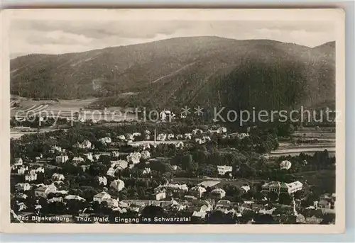 AK / Ansichtskarte Blankenburg Bad Schwarzatal Panorama Kat. Bad Blankenburg