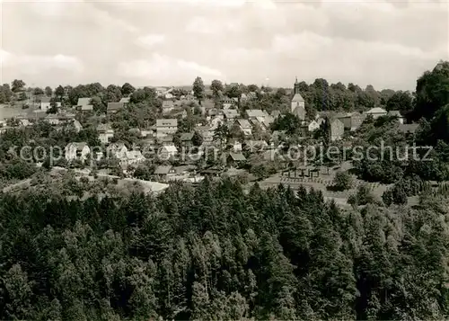 AK / Ansichtskarte Hohnstein Saechsische Schweiz Blick auf Stadt und Burg Kat. Hohnstein