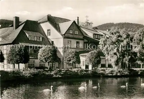 AK / Ansichtskarte Ilsenburg Harz Am Forellenteich Kat. Ilsenburg Harz