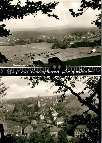 AK / Ansichtskarte Berggiesshuebel  Kat. Bad Gottleuba Berggiesshuebel