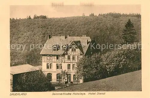 AK / Ansichtskarte Sauerland Hotel Dienst Hoheleye