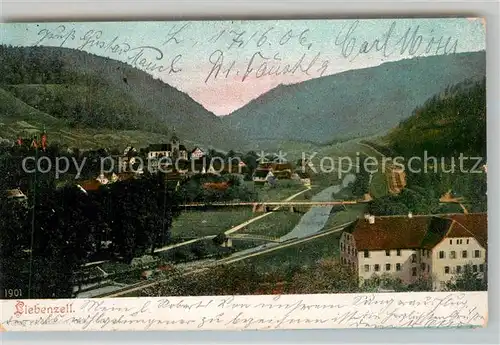 AK / Ansichtskarte Bad Liebenzell Teilansicht  Kat. Bad Liebenzell