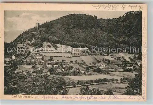 AK / Ansichtskarte Bad Liebenzell Gesamtansicht  Kat. Bad Liebenzell