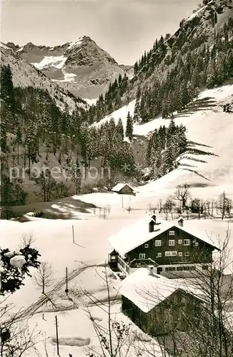 AK / Ansichtskarte Hinterstein Bad Hindelang Giebelhaus mit Wiedemerkopf