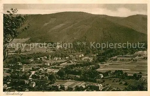 AK / Ansichtskarte Bad Blankenburg Panorama Kat. Bad Blankenburg