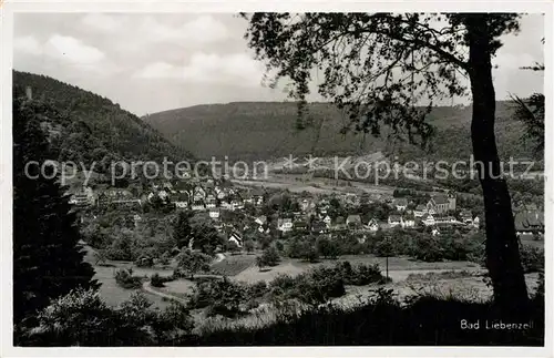 AK / Ansichtskarte Bad Liebenzell Gesamtansicht  Kat. Bad Liebenzell