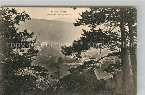 AK / Ansichtskarte Schwarzburg Thueringer Wald Blick vom Trippstein Kat. Schwarzburg