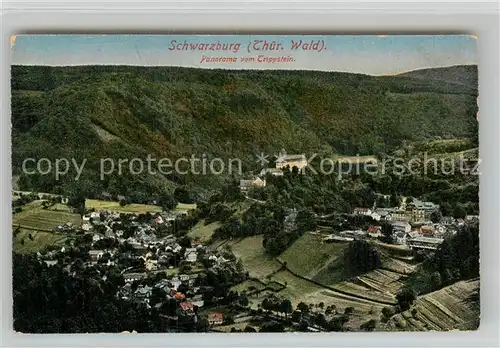 AK / Ansichtskarte Schwarzburg Thueringer Wald Panorama vom Trippstein Kat. Schwarzburg