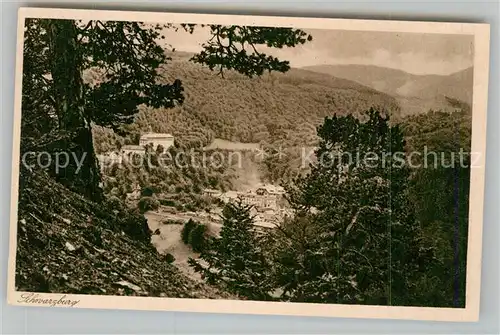 AK / Ansichtskarte Schwarzburg Thueringer Wald Blick vom Trippstein Kat. Schwarzburg