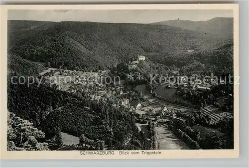 AK / Ansichtskarte Schwarzburg Thueringer Wald Blick vom Trippstein Kat. Schwarzburg