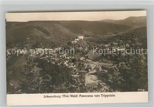 AK / Ansichtskarte Schwarzburg Thueringer Wald Panorama vom Trippstein Kat. Schwarzburg