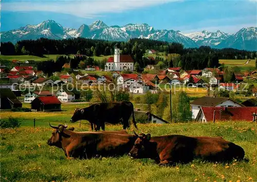 AK / Ansichtskarte Lechbruck See Ortsansicht mit Kirche Viehweide Kuehe Tiroler und Allgaeuer Hochgebirge Kat. Lechbruck am See