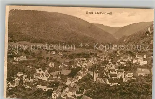 AK / Ansichtskarte Bad Liebenzell Panorama  Kat. Bad Liebenzell