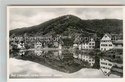 AK / Ansichtskarte Bad Liebenzell Stadtsee Kat. Bad Liebenzell