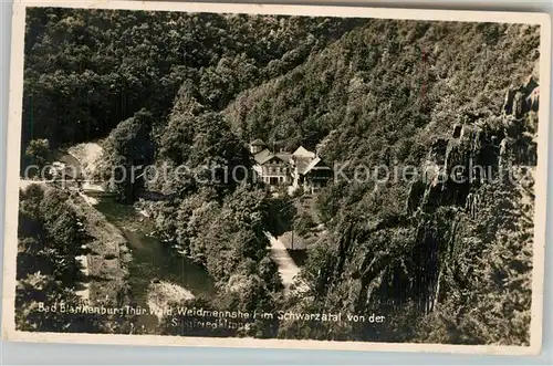 AK / Ansichtskarte Bad Blankenburg Waidmannsheil im Schwarzatal von der Siegfriedklippe Kat. Bad Blankenburg