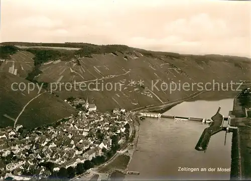 AK / Ansichtskarte Zeltingen Rachtig Panorama  Kat. Zeltingen Rachtig