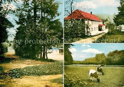 AK / Ansichtskarte Bad Randringhausen Kurhaus Wilmsmeier  Kat. Buende