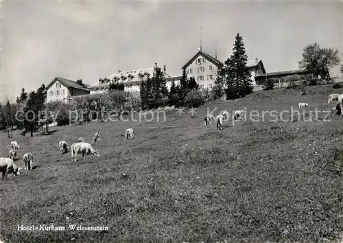 AK / Ansichtskarte Weissenstein SO Hotel Kurhaus Viehweide Kuehe Kat. Weissenstein Solothurn