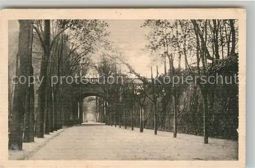 AK / Ansichtskarte Coblenz Koblenz Rhein Anlagen Kat. Koblenz Rhein