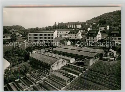 AK / Ansichtskarte Boppard Rhein Gartenbaubetriebe Decker Kat. Boppard