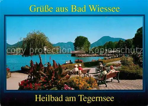 AK / Ansichtskarte Bad Wiessee Kuranlagen Kat. Bad Wiessee