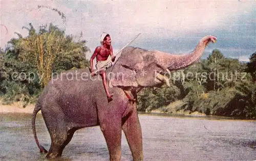 AK / Ansichtskarte Elefant Mahout Kandy Sri Lanka  Kat. Tiere