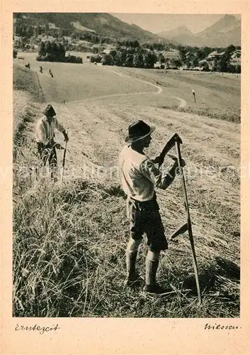 AK / Ansichtskarte Ernte Landwirtschaft Erntezeit Foto Niessen  Kat. Landwirtschaft