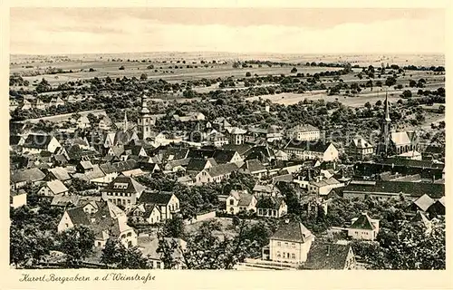 AK / Ansichtskarte Bad Bergzabern Panorama Kat. Bad Bergzabern