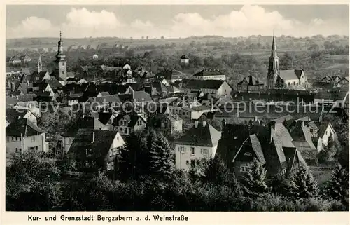 AK / Ansichtskarte Bad Bergzabern Panorama Kat. Bad Bergzabern