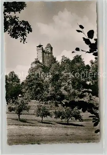 AK / Ansichtskarte Bad Bergzabern Burg Berwartstein Kat. Bad Bergzabern