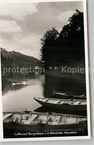 AK / Ansichtskarte Bad Bergzabern Partie am Stauweiher Kat. Bad Bergzabern