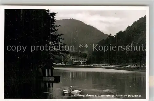 AK / Ansichtskarte Bad Bergzabern Partie am Stauweiher Kat. Bad Bergzabern