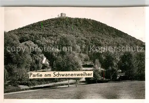 AK / Ansichtskarte Klingenmuenster Partie am Schwanenweiher Kat. Klingenmuenster